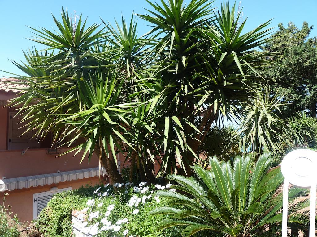 B&B Villa Di Giorgi Cefalu Exterior photo